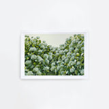 Sage Hydrangea Landscape