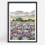 Lavender Fields II