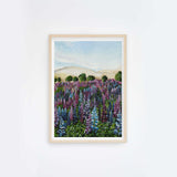 Lupin Fields II