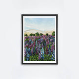 Lupin Fields II