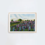 Lupin Fields Landscape