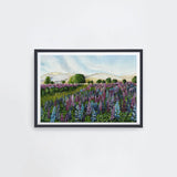 Lupin Fields Landscape