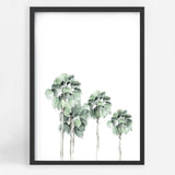 Miami Palms