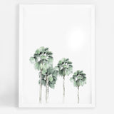 Miami Palms