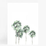 Miami Palms