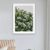Sage Hydrangea I