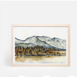 Twizel Landscape
