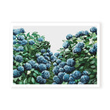 Hydrangea Landscape