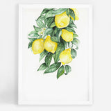 Lemons