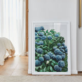 Blue Hydrangea I