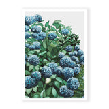 Blue Hydrangea I