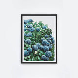 Blue Hydrangea I