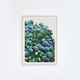Blue Hydrangea I