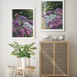 Candy Lane Pair