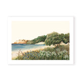 Coromandel landscape
