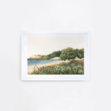 Coromandel landscape
