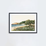 Coromandel landscape