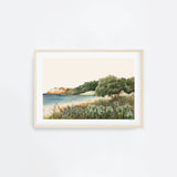 Coromandel landscape