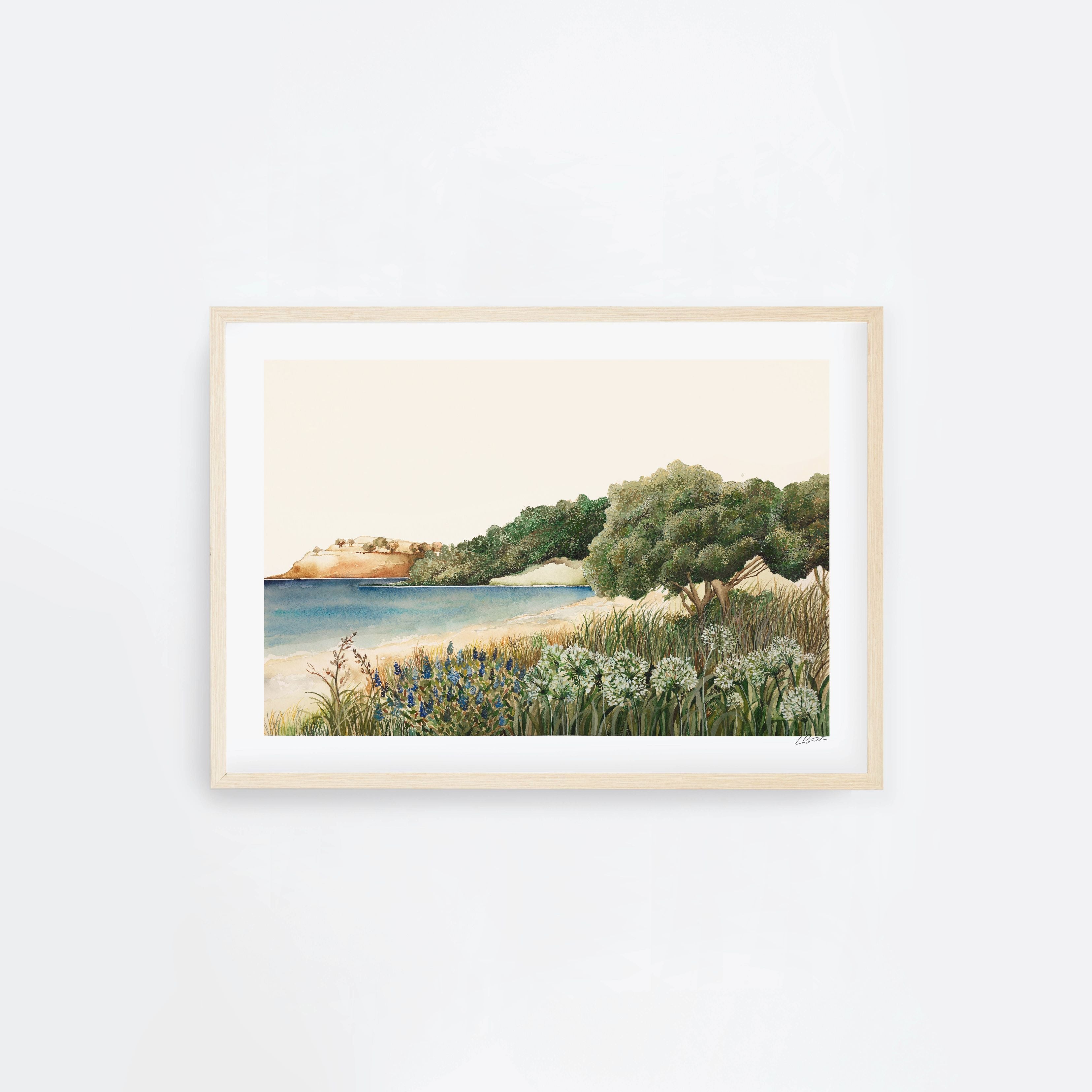 Coromandel landscape