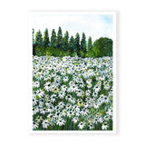Daisy Fields I