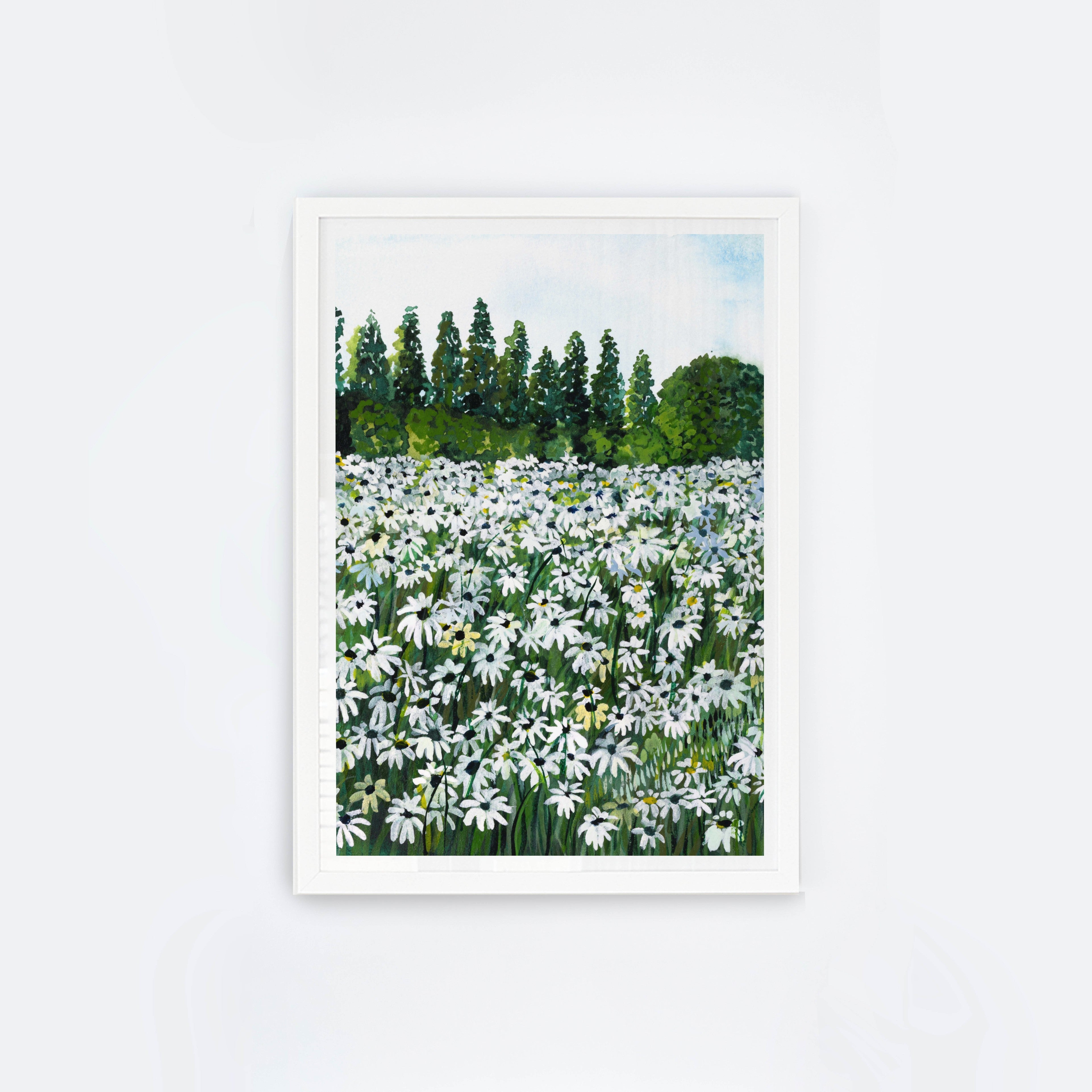 Daisy Fields I
