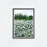 Daisy Fields I