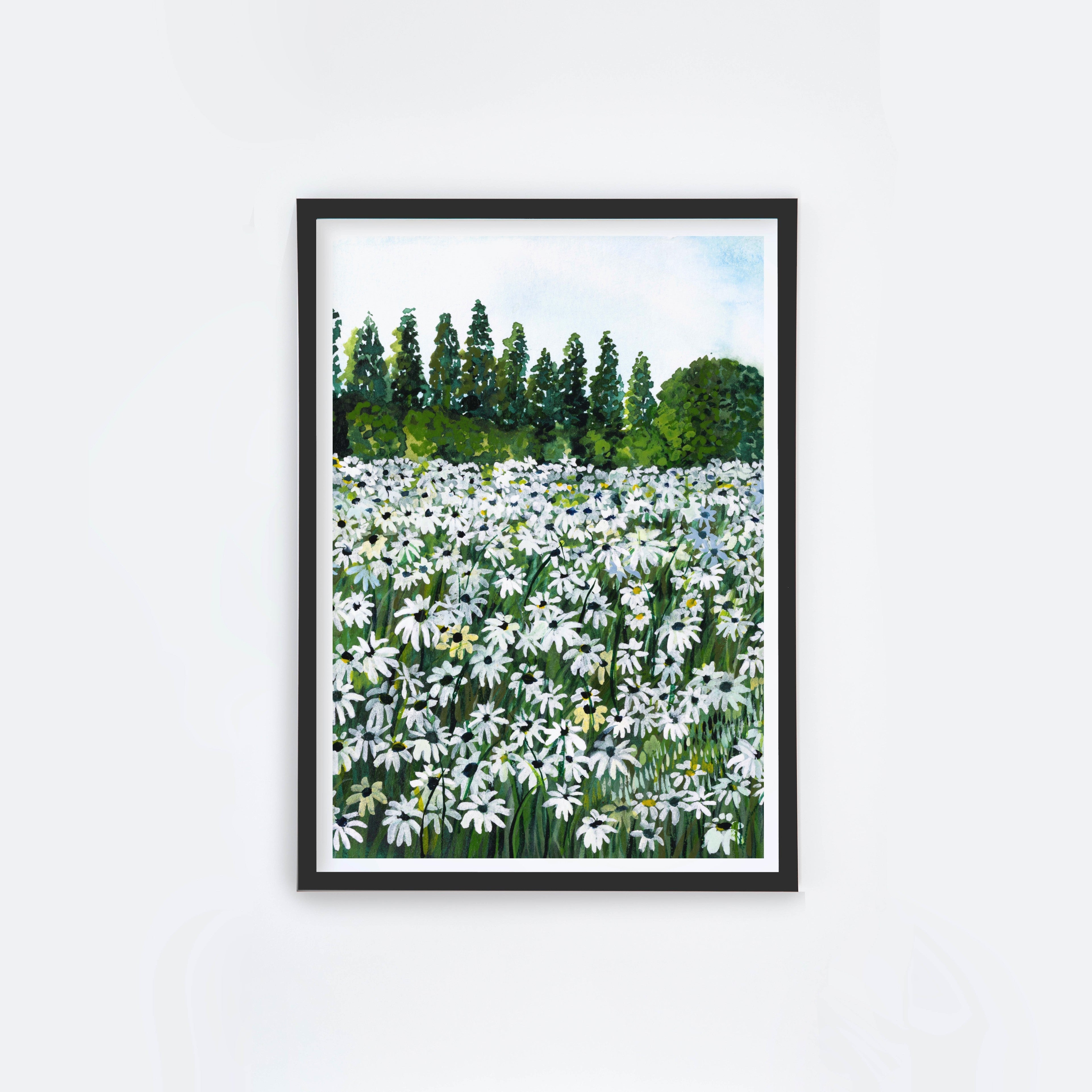 Daisy Fields I