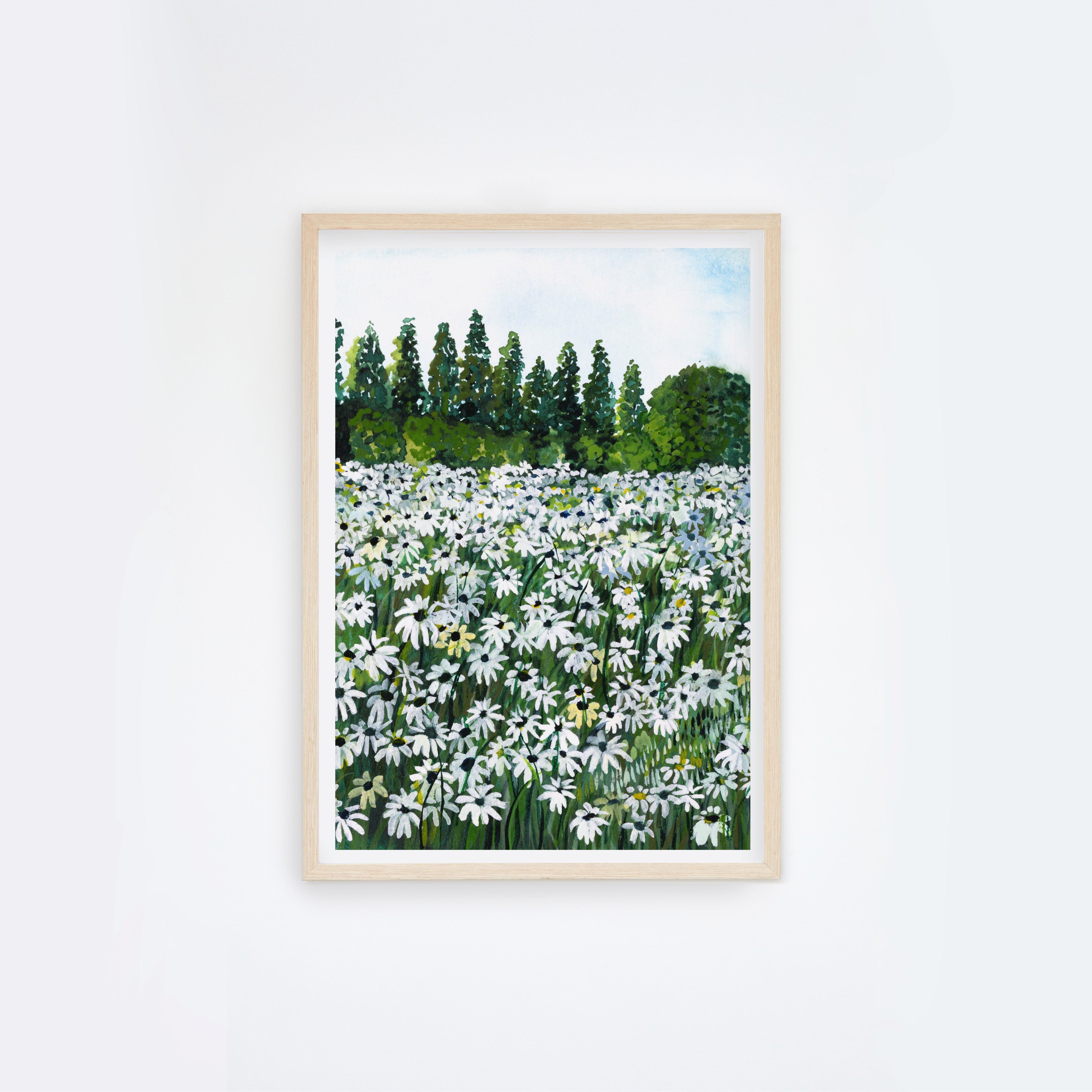 Daisy Fields I