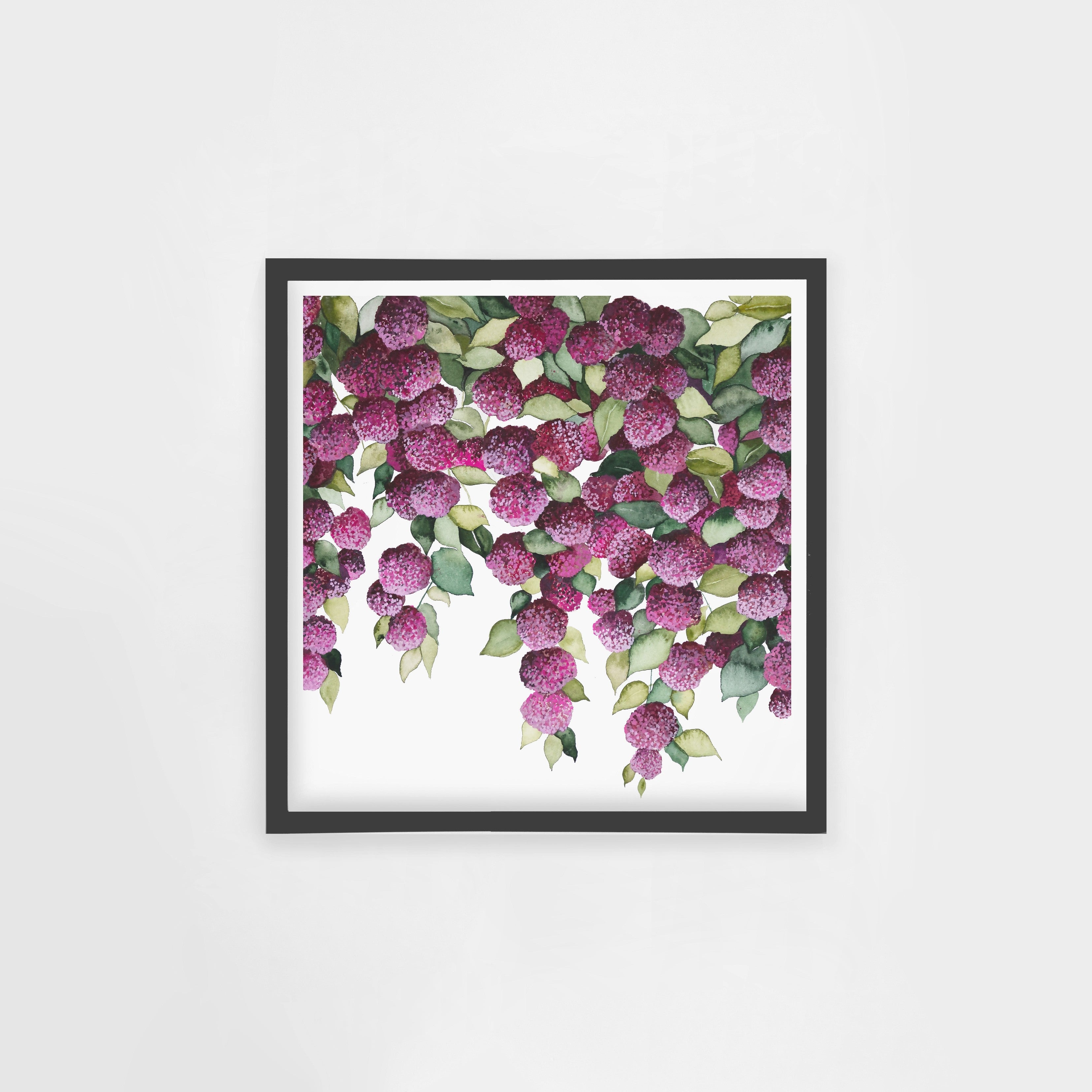 Falling Hydrangeas Square
