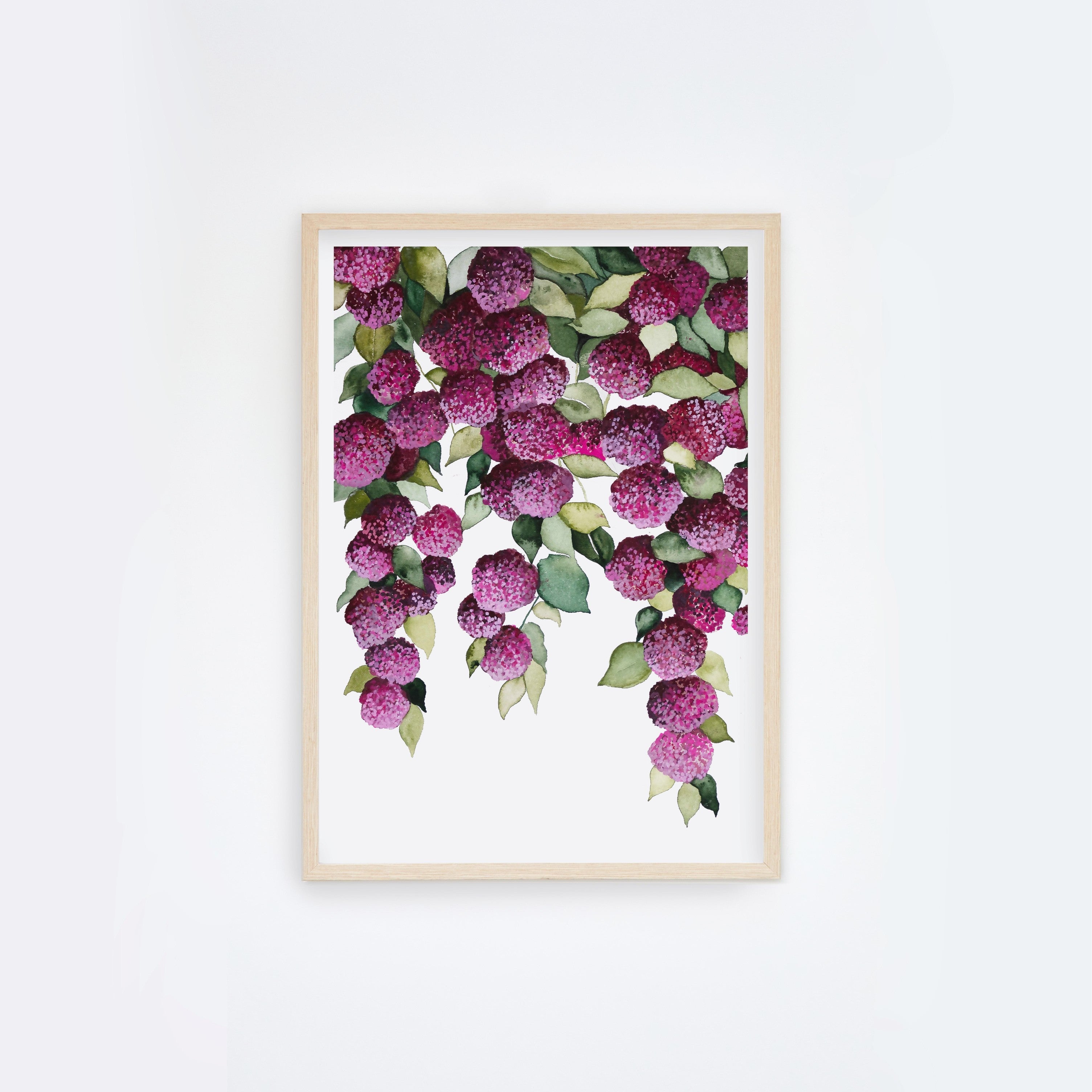 Falling Hydrangeas I