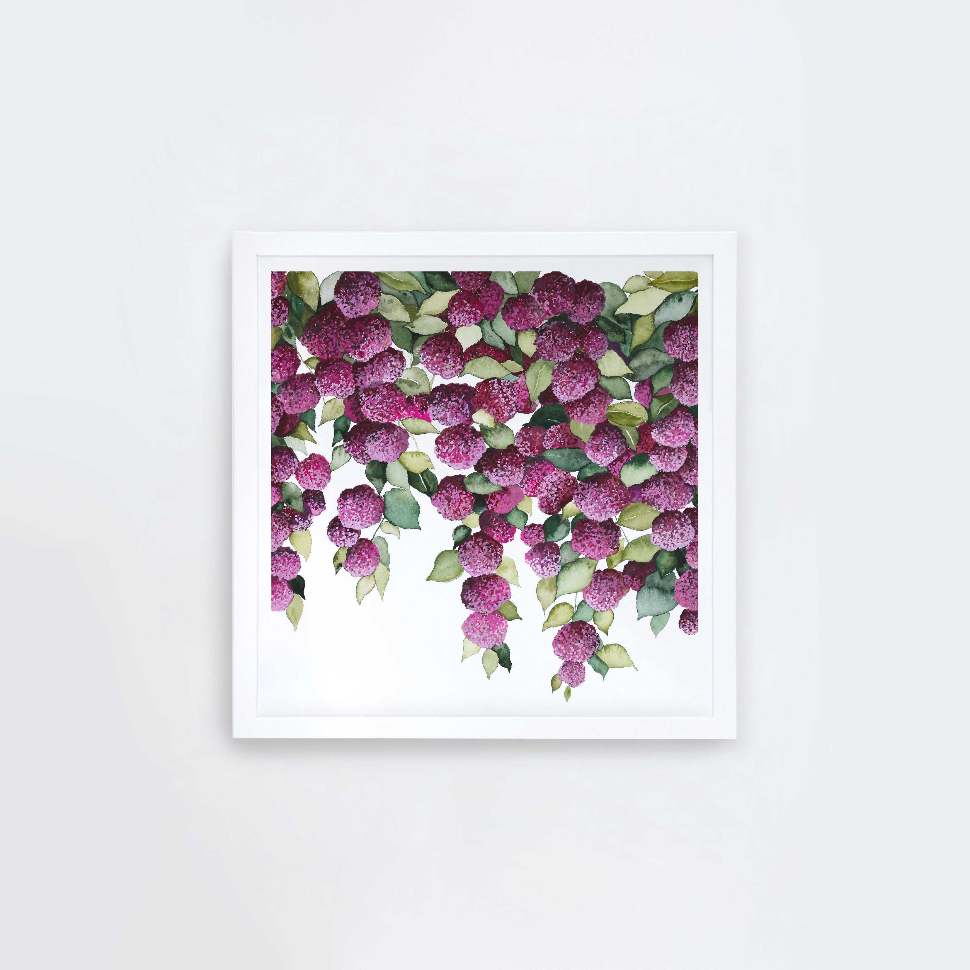 Falling Hydrangeas Square