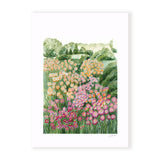 Flower Fields