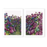 Lilac Hydrangea Pair