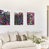 Lilac Hydrangea Triplet