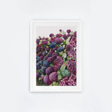 Lilac Hydrangea II