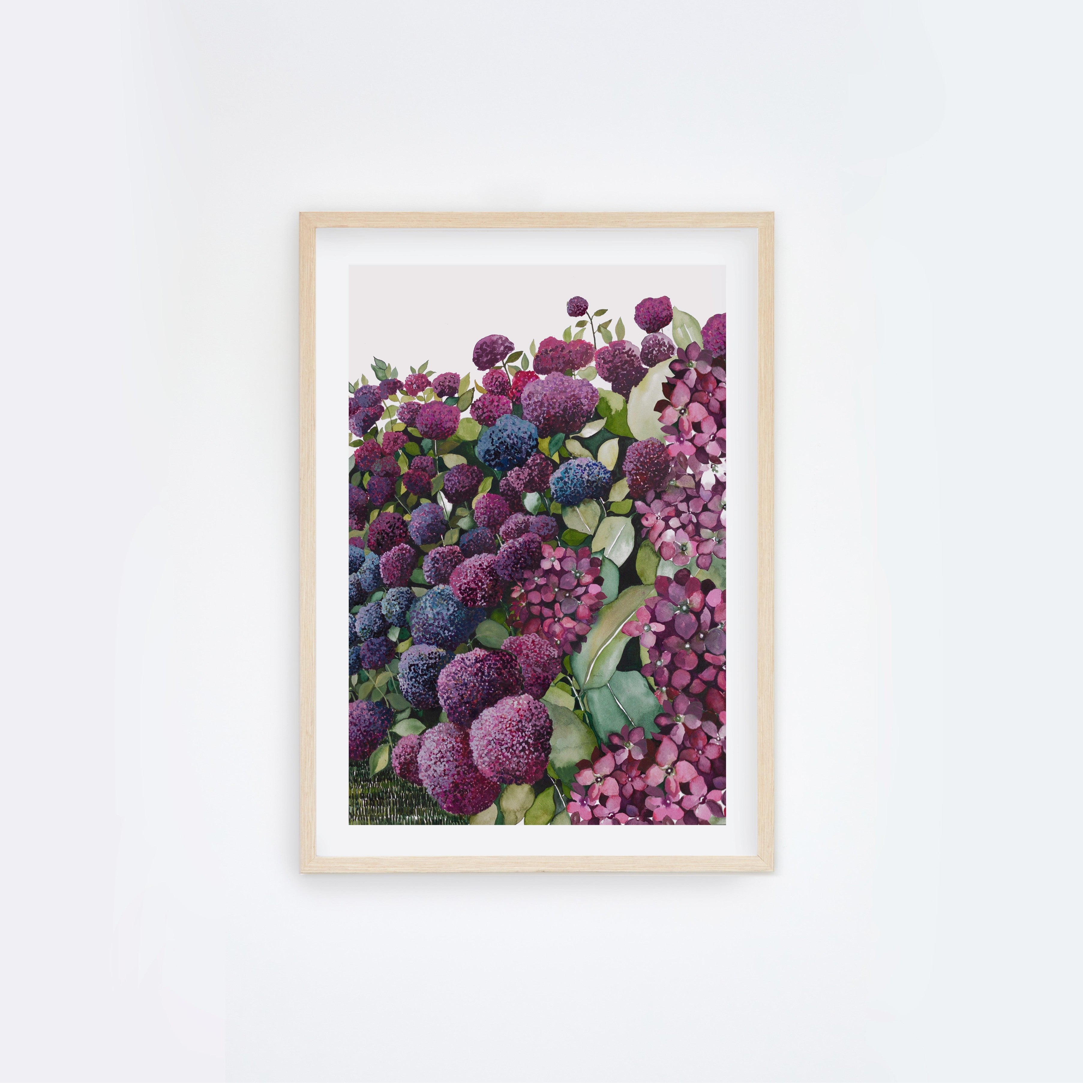 Lilac Hydrangea II