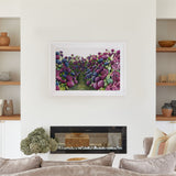 Lilac Hydrangea Landscape