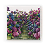 Lilac Hydrangea Square - Canvas