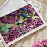Lilac Hydrangea V