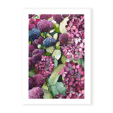 Lilac Hydrangea V