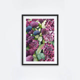 Lilac Hydrangea V