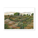 Mustard Field Landscape