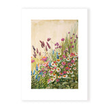 Pink Daisies