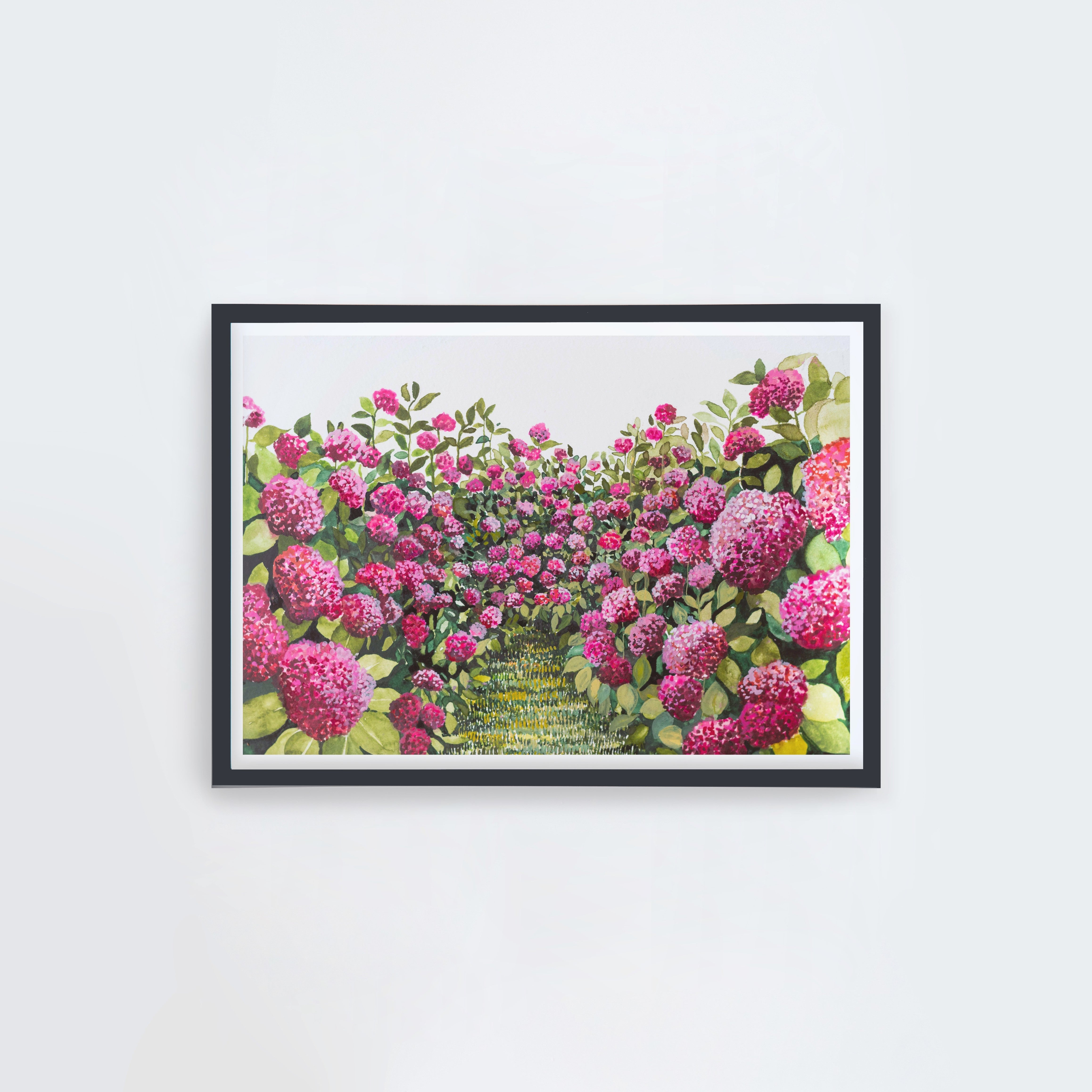 Pink Hydrangeas Landscape