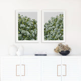 Sage Hydrangea Pair