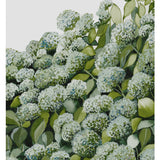 Sage Hydrangea Pair
