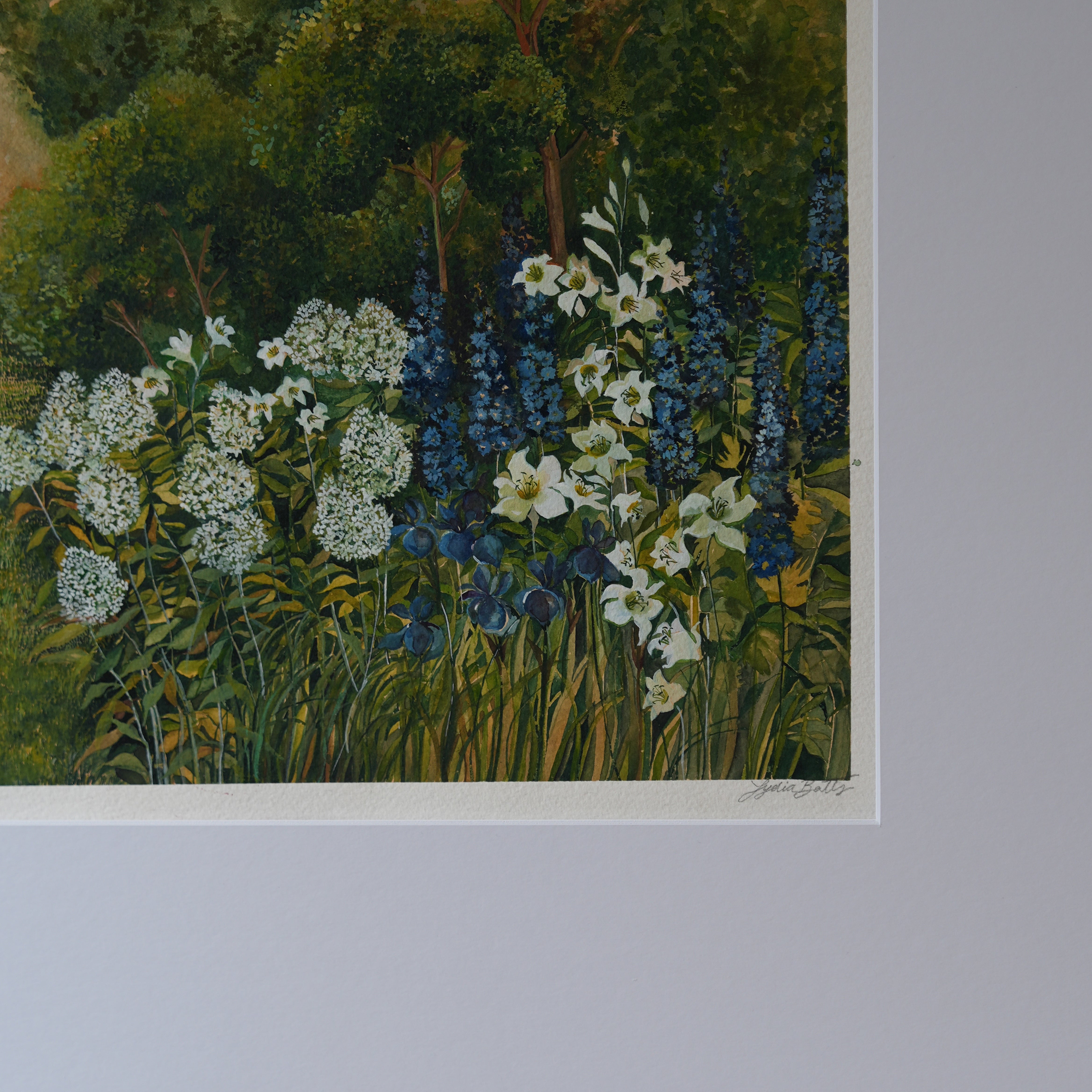 Original Artwork