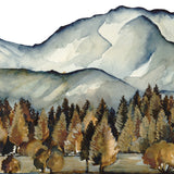 Twizel Landscape