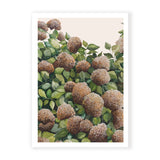 Bronze Hydrangea Pair