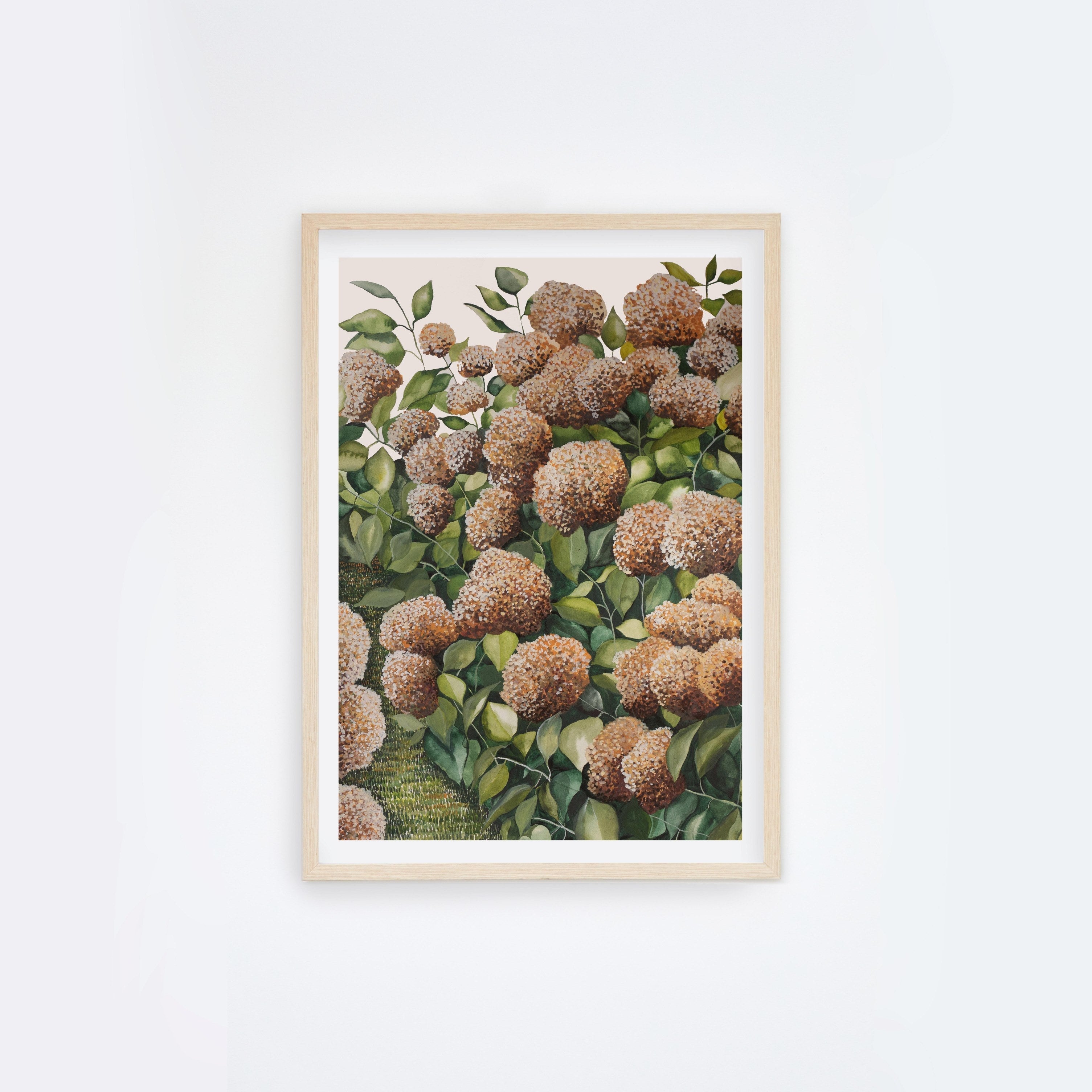 Bronze Hydrangea II